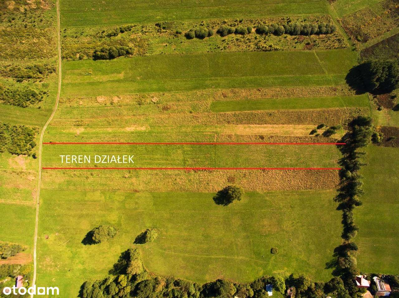 Dębina działki budowlane MPZP regularne kształty PROMOCJA CENOWA !!! - Pełny obrazek: 1/5