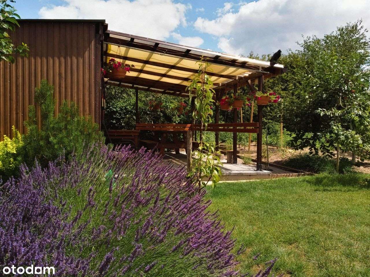 Suchy Las -Zielątkowo - ZMIANA CENY-11