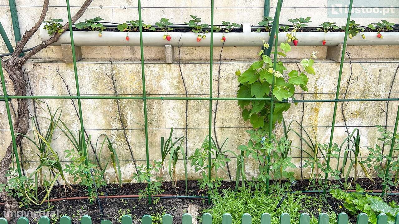 Moradia T3+T3 em  Grândola-24