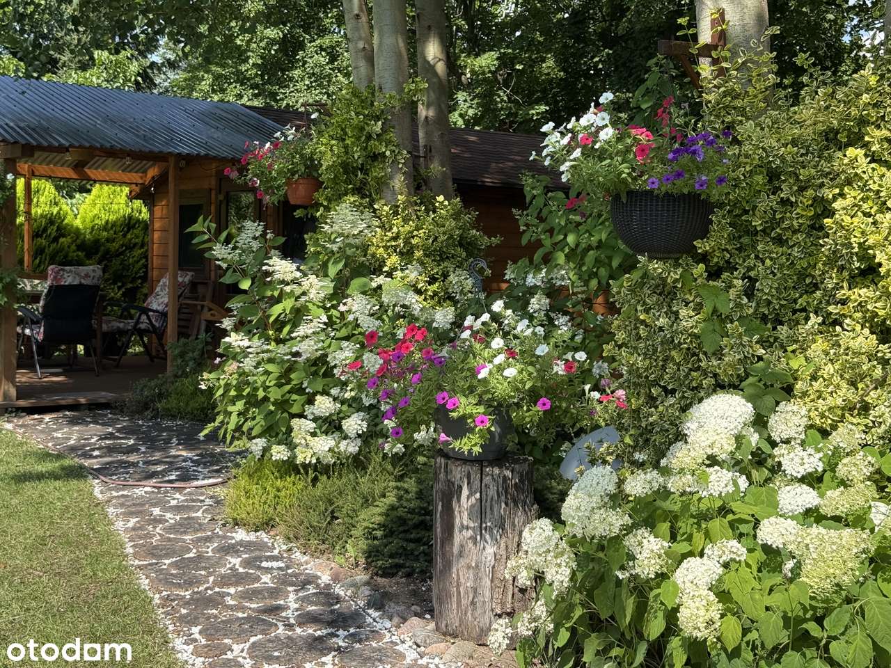 Działka marzeń nad jeziorem - Pełny obrazek: 5/20