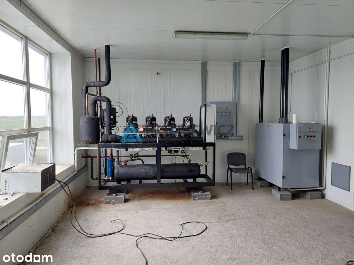 Hala magazynowa z chłodniami - Pełny obrazek: 5/20
