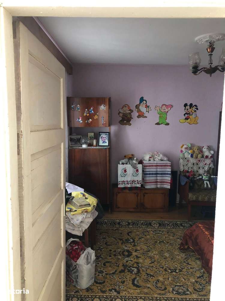 Vanzare casa in Comuna Coteana vav baza de receptie-11