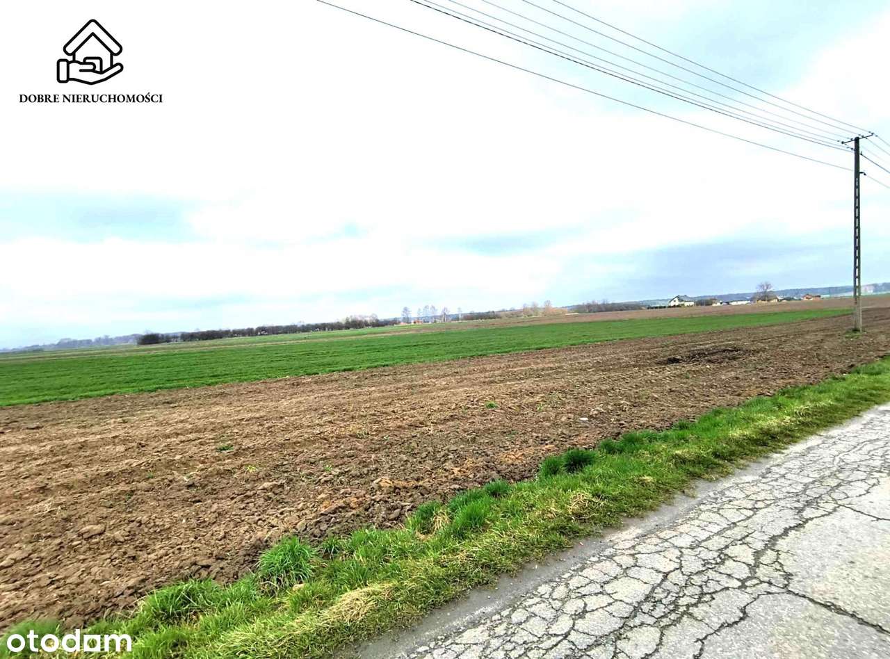 6317 m2 - przy drodze asfaltowej - Siedliska - Pełny obrazek: 4/4