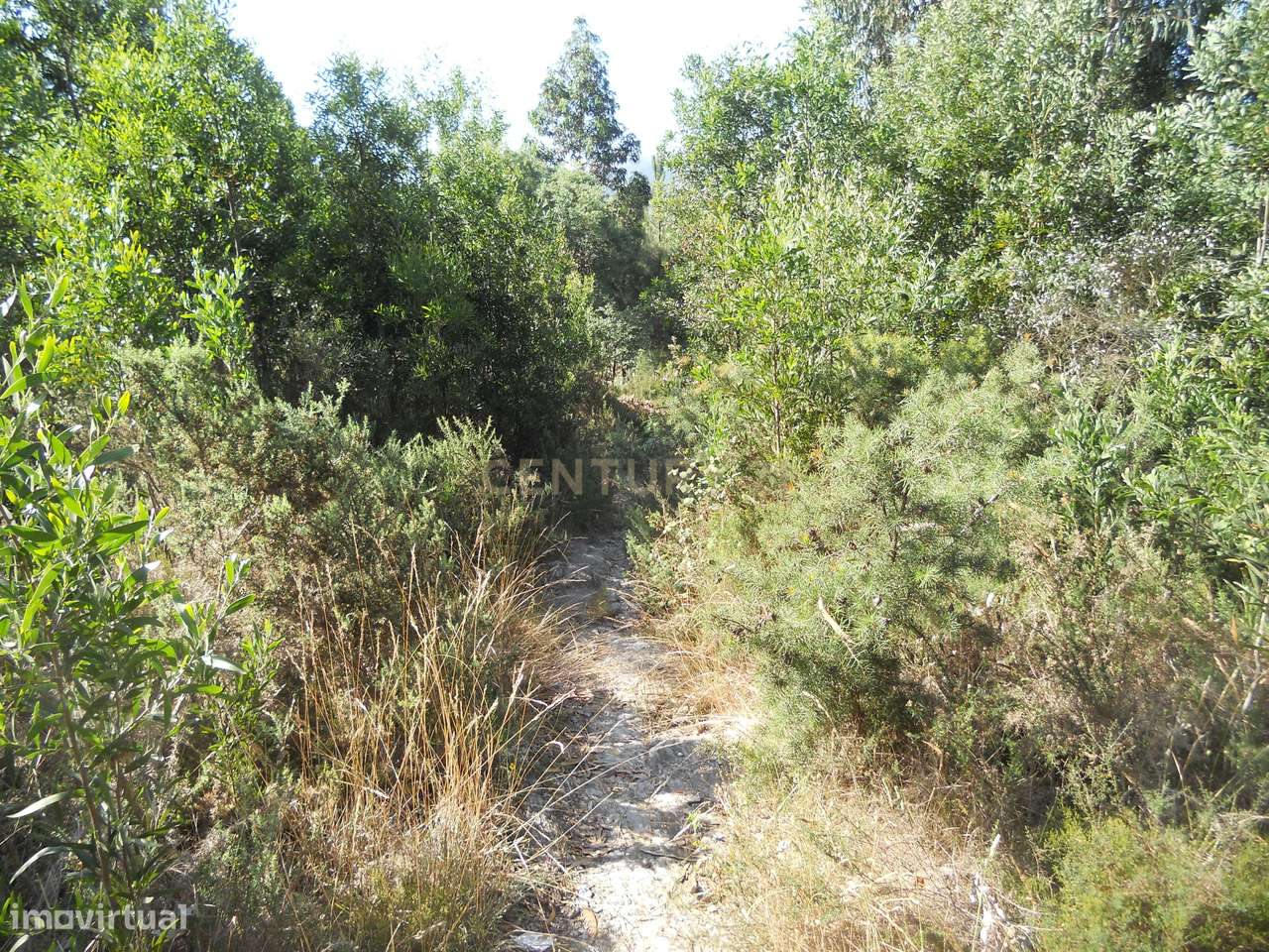 Terreno para Moradia ou Habitação Coletiva, c/ 7200 m2 em Valongo - Grande imagem: 4/8