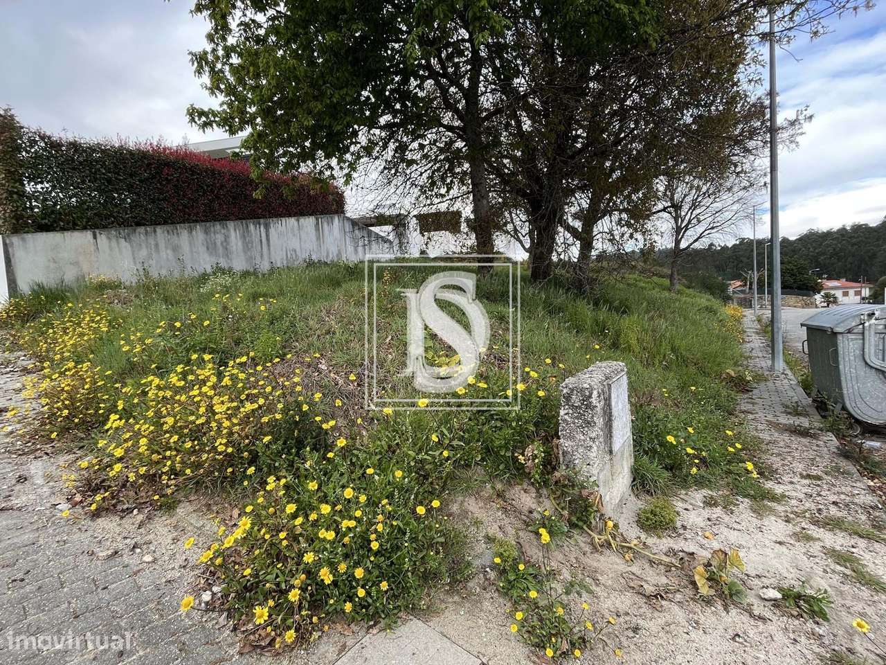 Terreno Não definido em UDF de Alvito (São Pedro e São Martinho) e Cou - Grande imagem: 3/13