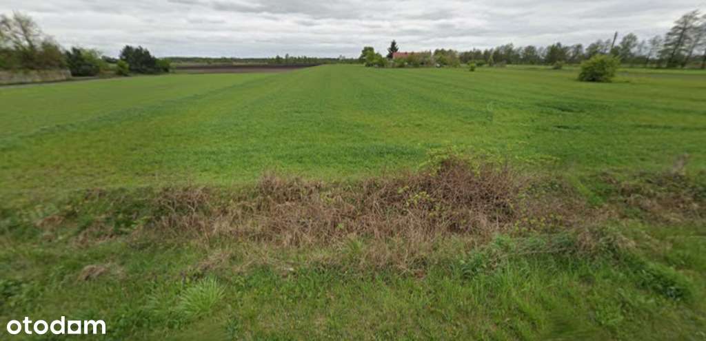 Działka rolna 3ha - Józefów - Pełny obrazek: 5/5