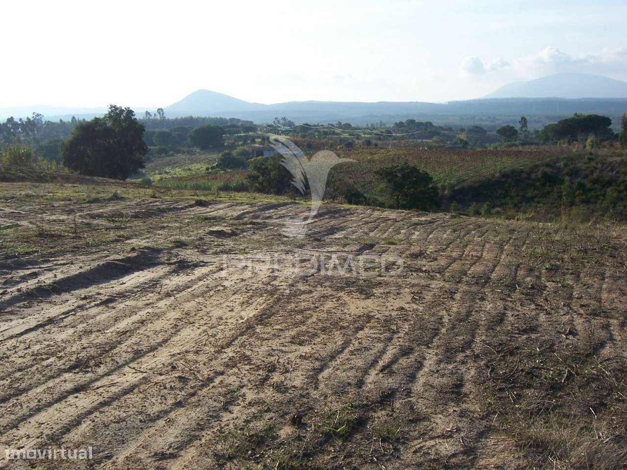 TERRENO AVEIRAS DE CIMA - 30 MINUTOS DE LISBOA - Grande imagem: 4/7