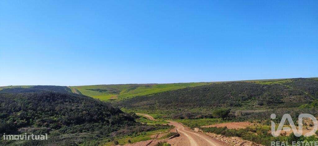 Terreno T1 em Vila do Bispo e Raposeira de 174170,00 m2 - Grande imagem: 4/13