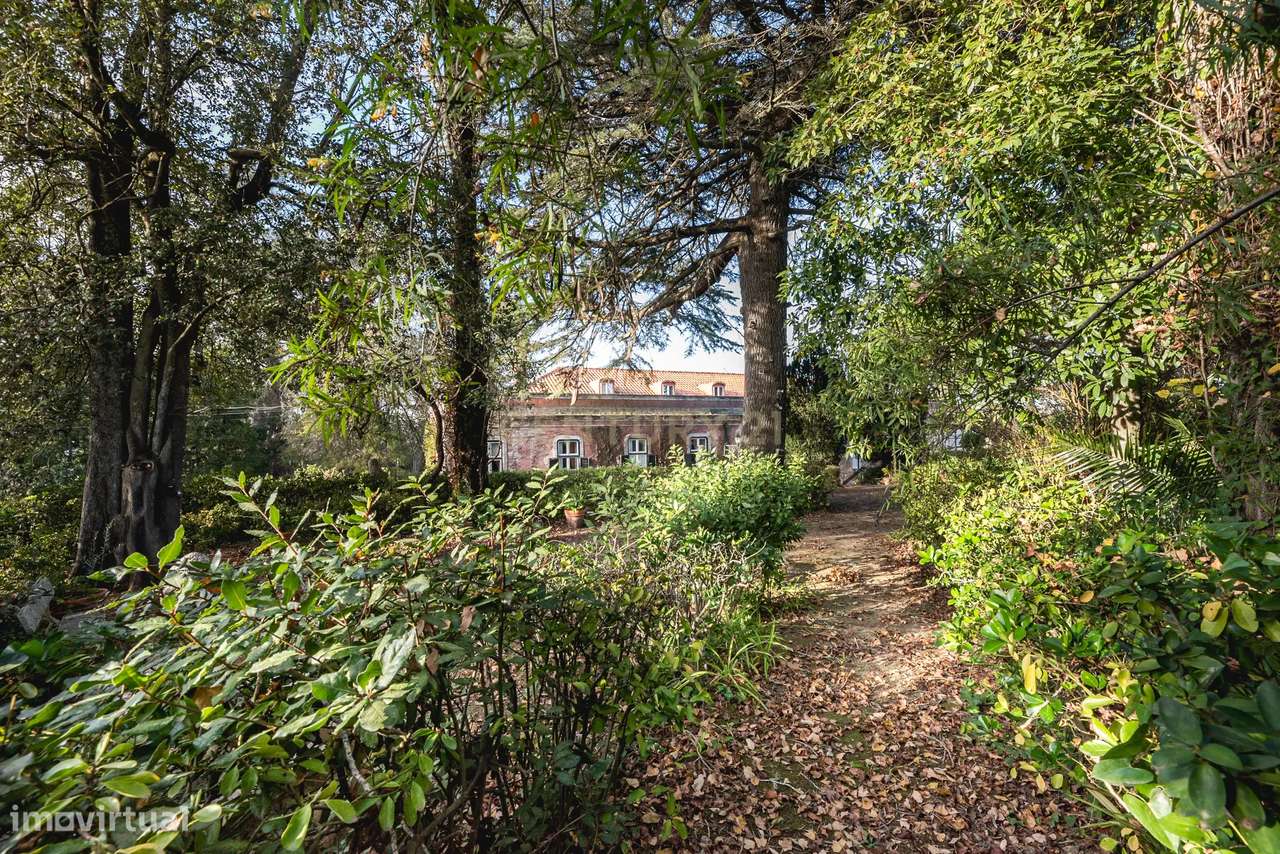 Quinta das Baldrucas-51