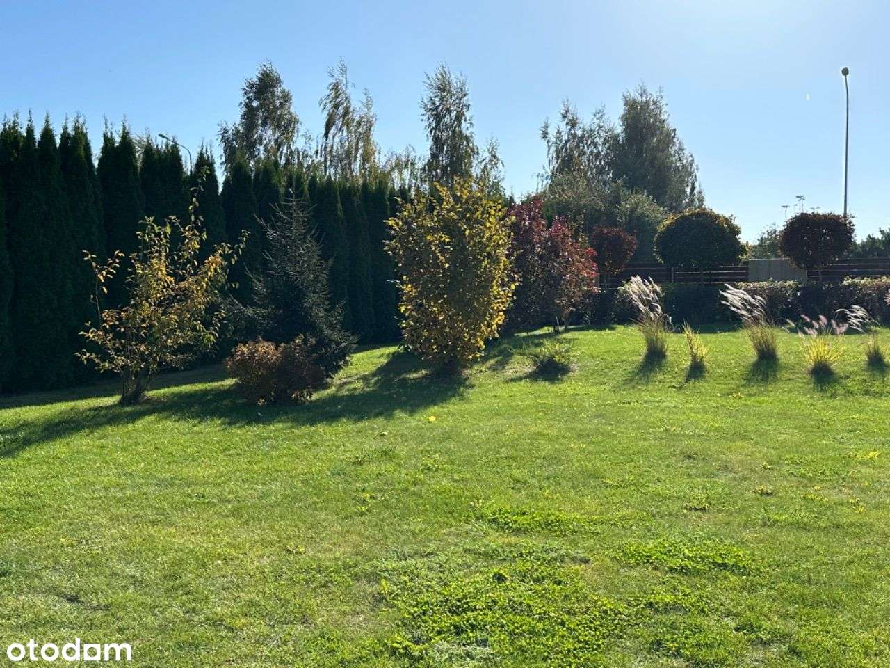 Działka w pierwszej linii zabudowy - Pełny obrazek: 5/16