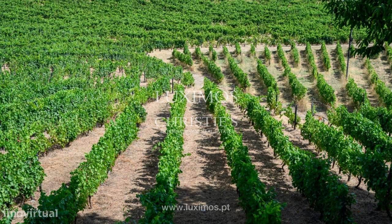Quinta do Eidinho à venda no Douro Valley em Santa Marta de Penaguiã - Grande imagem: 4/22