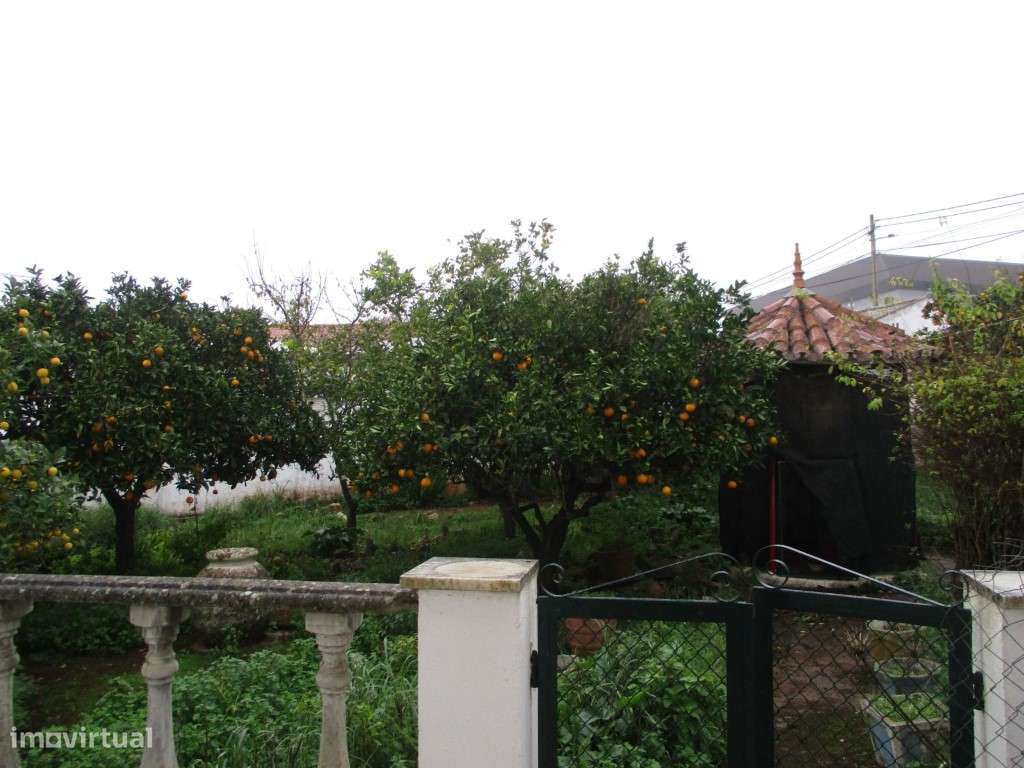 Quintinha no Centro de Estremoz com Grande Potencial de Investimento - Grande imagem: 2/45