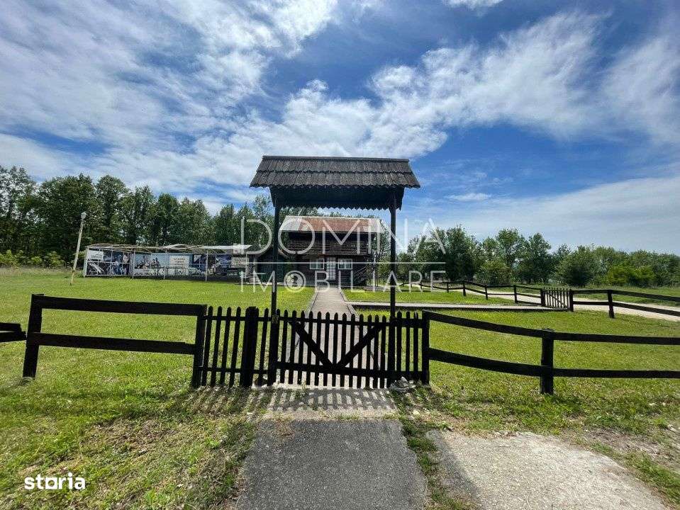 Vanzare teren *oportunitate investitie* in Carbunesti-Sat, la DN 67 B - Imagine principală: 4/9