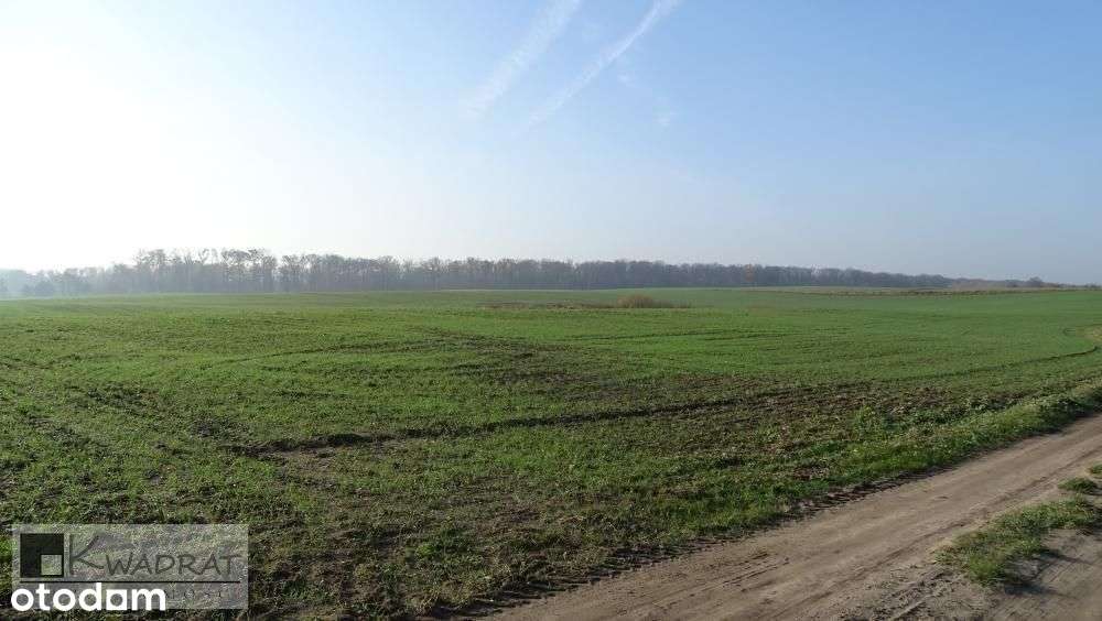 Działka, 15 480 m², Starczanowo-0