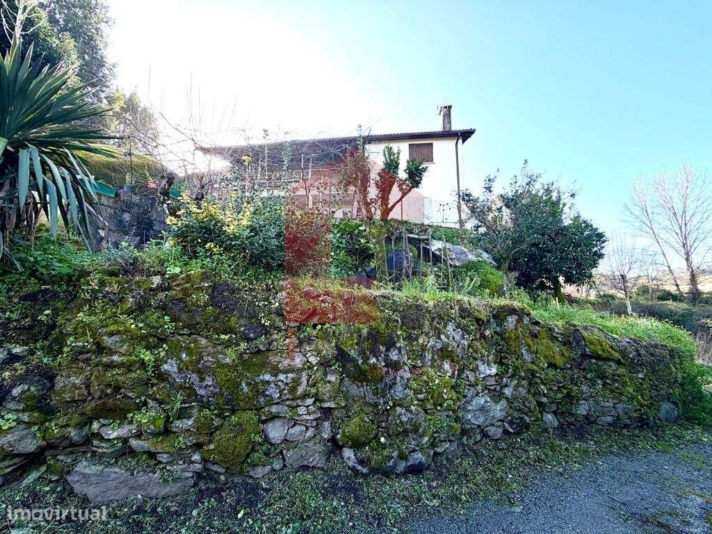 Moradia V3, Turiz - Grande imagem: 4/8