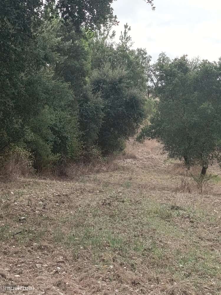 Terreno de viabilidade construtiva junto a Fazendas Almeirim-1