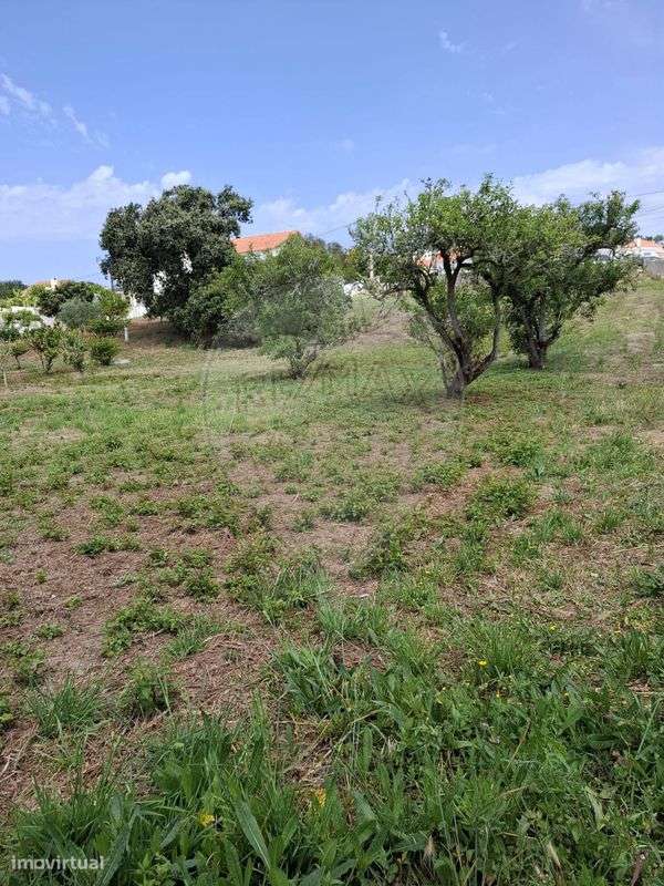 Terreno  para venda - Grande imagem: 3/4