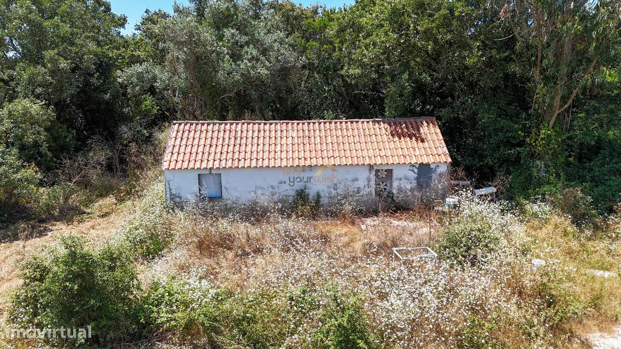 Quintinha Renovada com Terreno de 14.760 m² em Carvalhal, Turquel-6