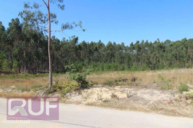 Lote de Terreno com projeto para moradia V4 em Souto da Carpalhosa ...-13