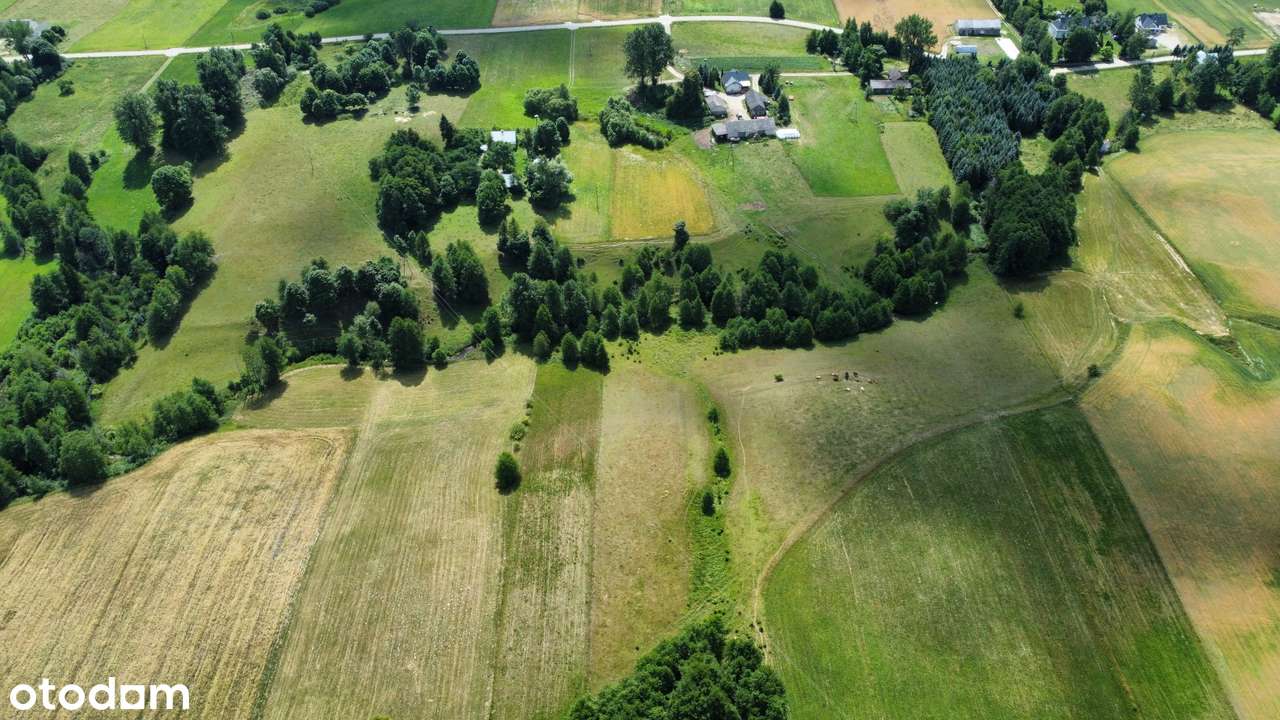 Filipów - Zusno - działka przy rzece - Pełny obrazek: 5/6