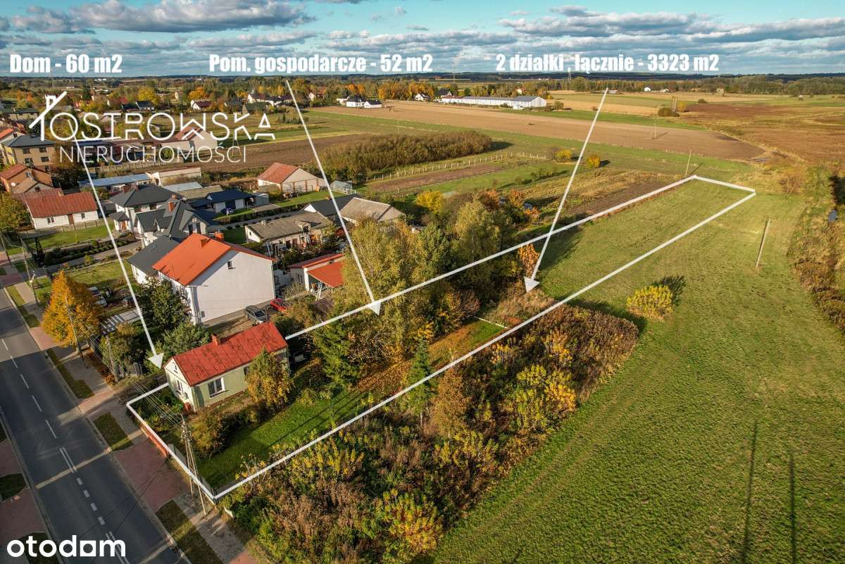 Mały zielony domek/domek gospodarczy/ duża działka - Pełny obrazek: 3/20