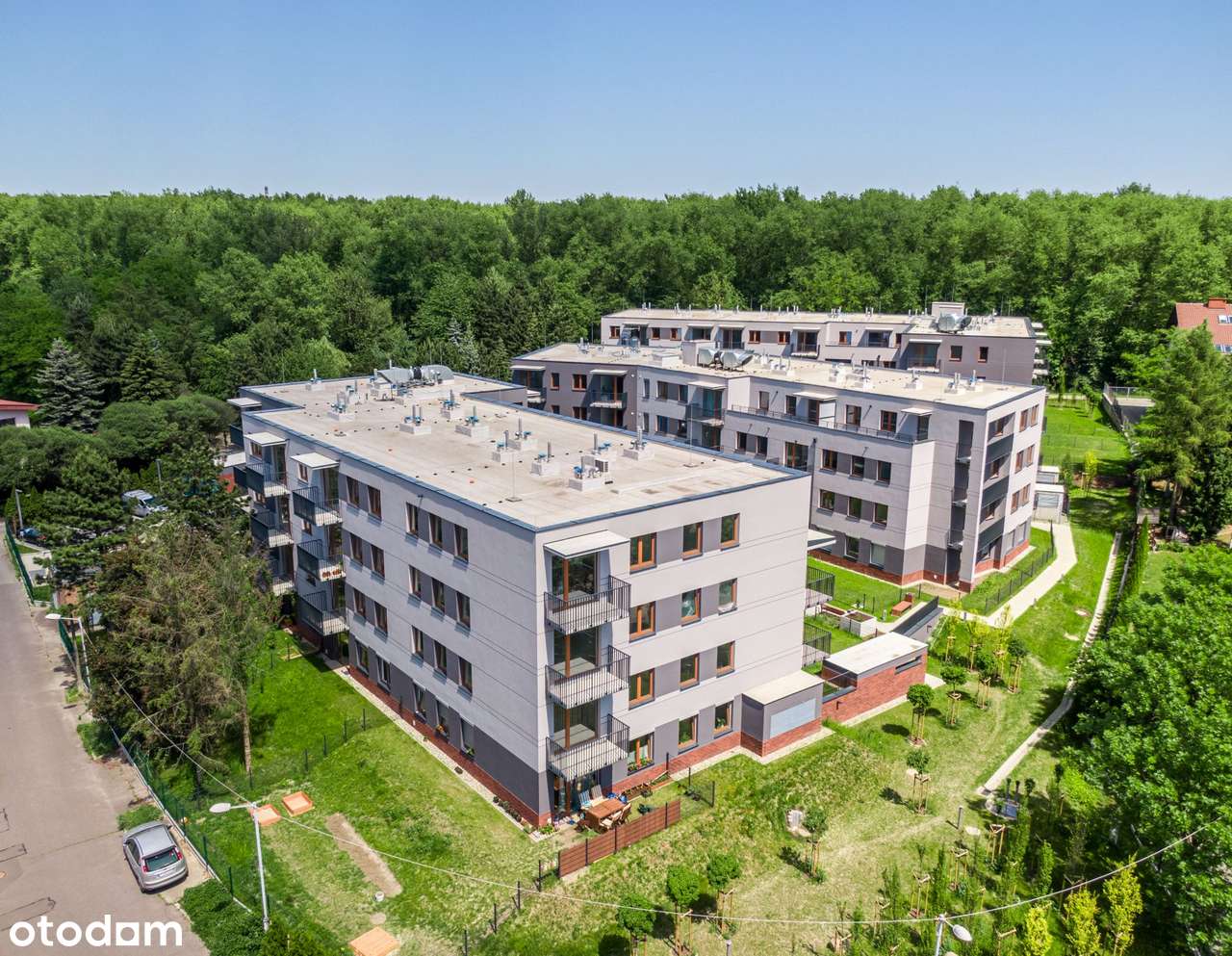 Daszyńskiego Park | B24 - Pełny obrazek: 2/9