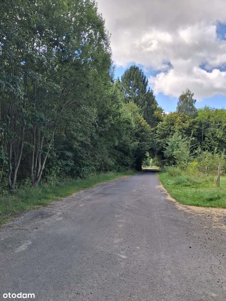 Widokowa uzbrojona działka plan zagospodarowania  Świecie k.Świeradów - Pełny obrazek: 5/8
