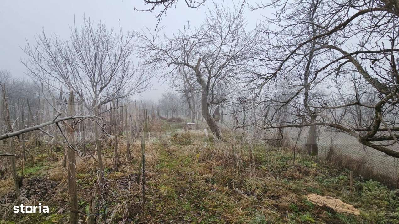 Casa individuala 3 camere, teren 2200 mp, garaj, terasa, pivnita, Pian - Imagine principală: 5/12