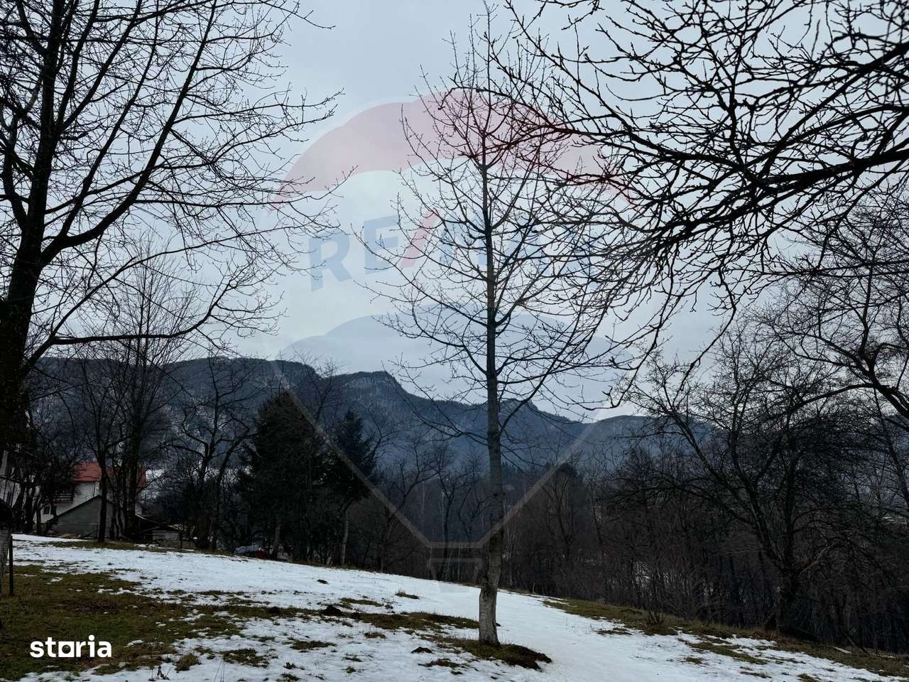 Teren Zarnesti /Bran/Predelut6 Strada Pe tarina - Imagine principală: 4/10