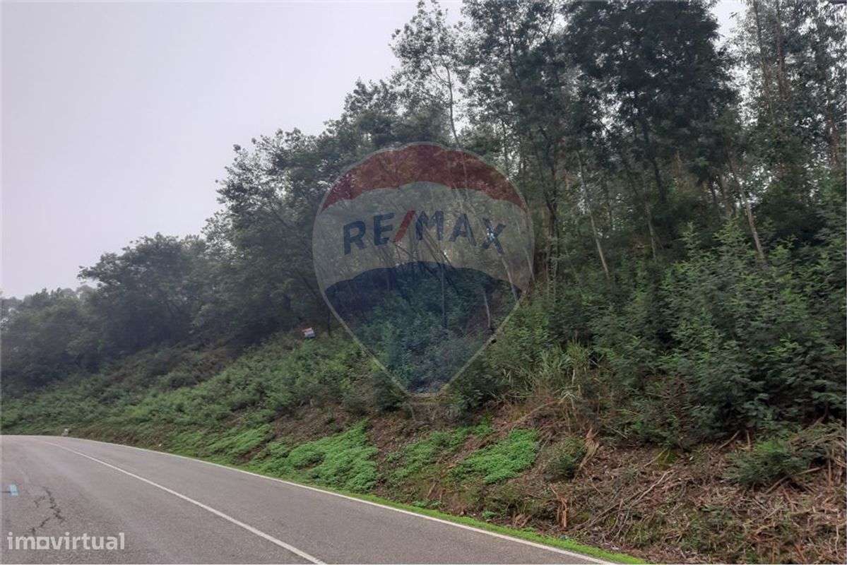 Terreno para construção em Antanhol - Grande imagem: 4/4
