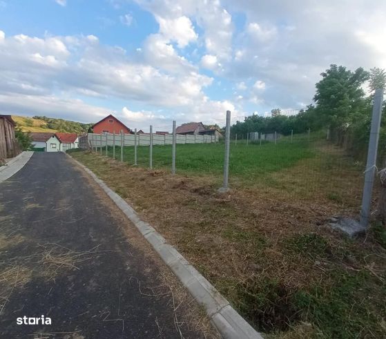 Teren intravilan cu utilitati la 25 km de Sibiu-3