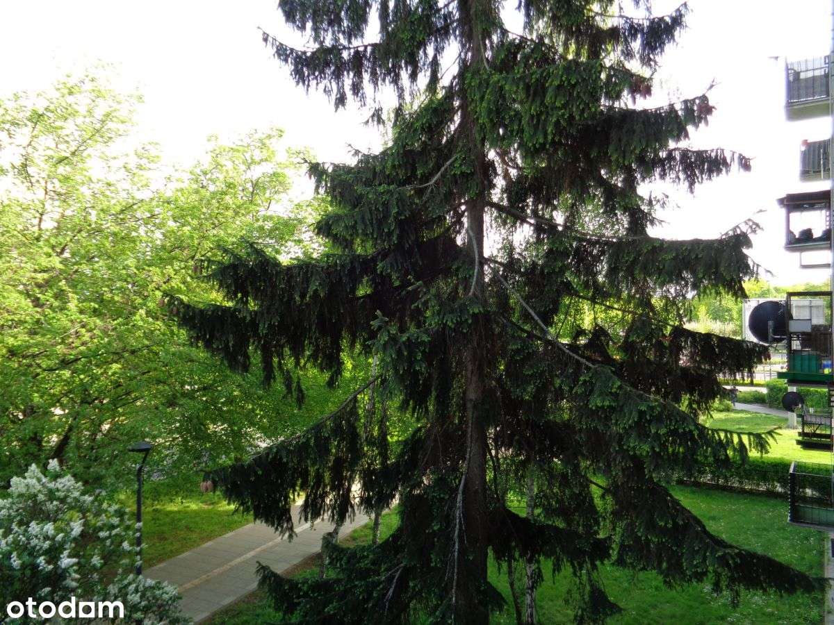 Metro 5 min. przy Parku Bródnowskim-17