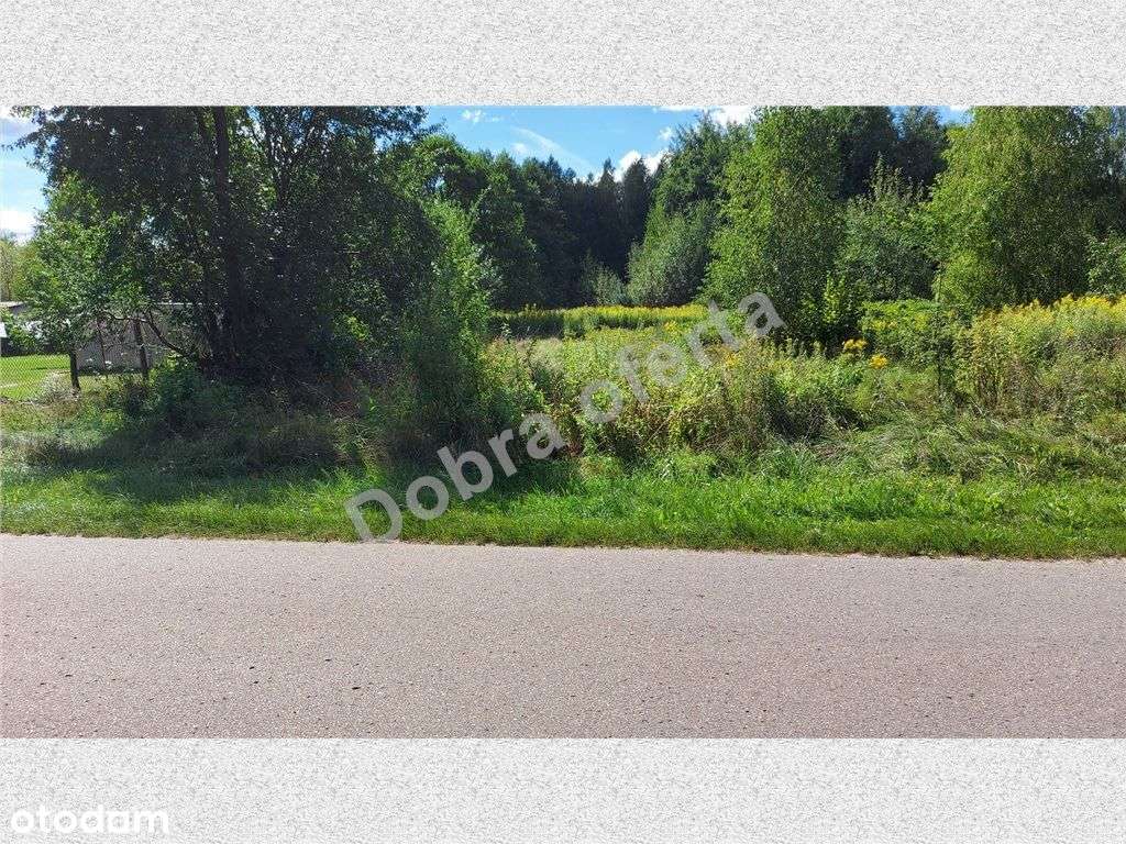 Dobra inwestycja - Pełny obrazek: 4/8