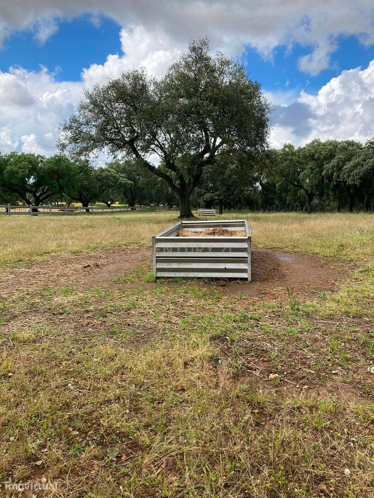 Herdade da Pedra Longa — Um Património Único no Coração do Alentejo-11