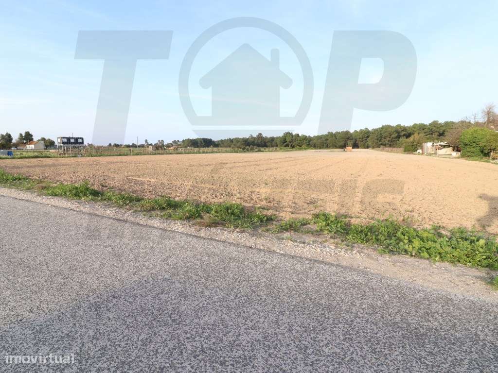 Terreno Construção - Foros de Salvaterra - 6040 M2 - 31 Mts de Fren... - Grande imagem: 5/7