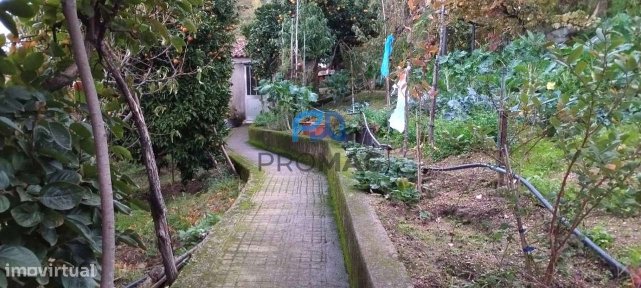 Moradia V3+1 em Anreade (Resende)-19