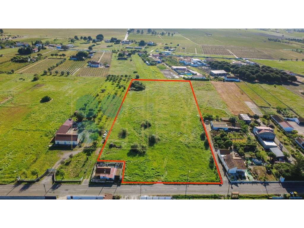 Construa duas casas num terreno único de 12.900m² em Arraiados-4
