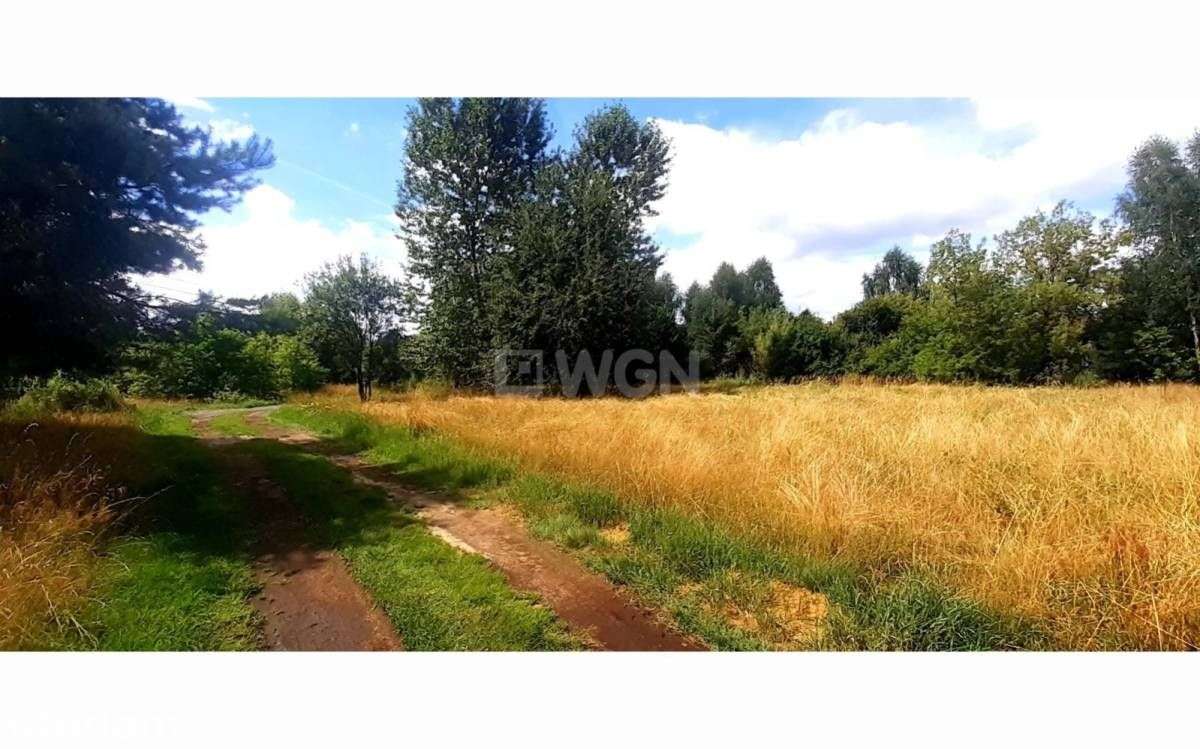 Działka, 4 548 m², Żarki - Pełny obrazek: 5/10