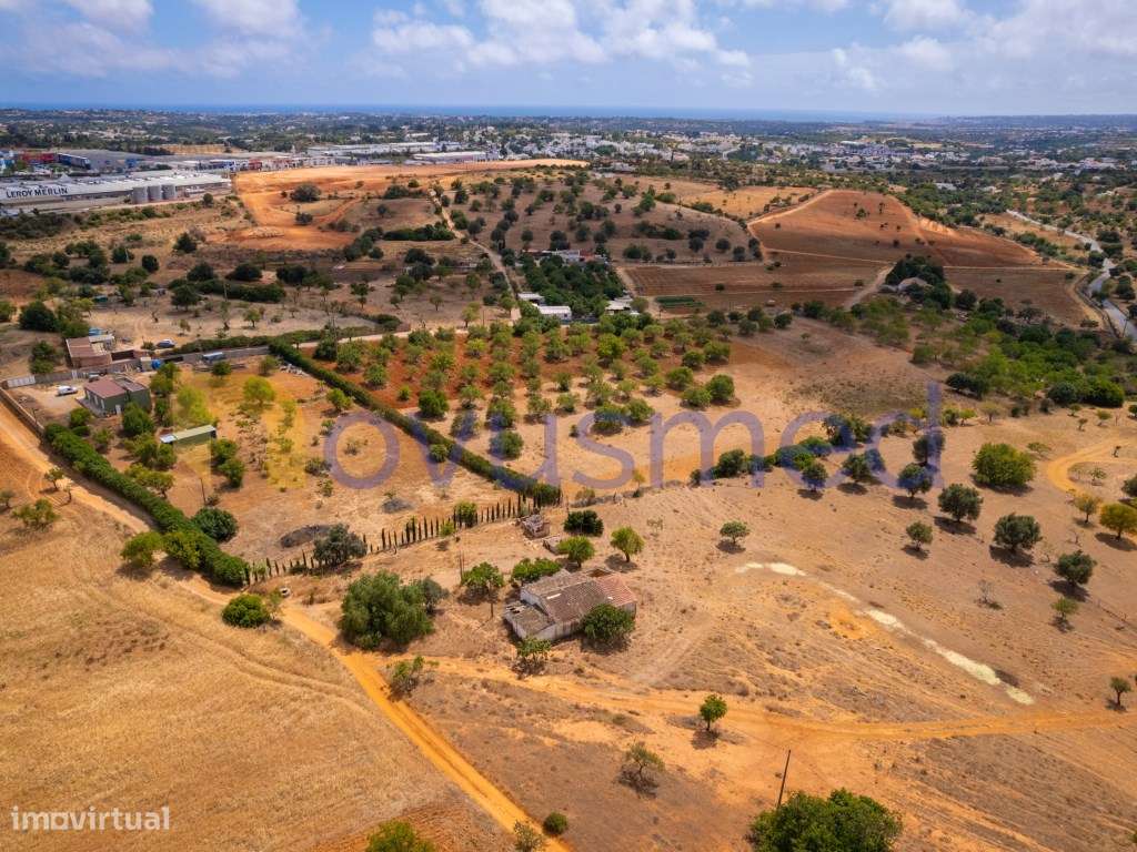 Quinta de 2,1 ha com Potencial para Turismo Rural- Guia Valverde-24