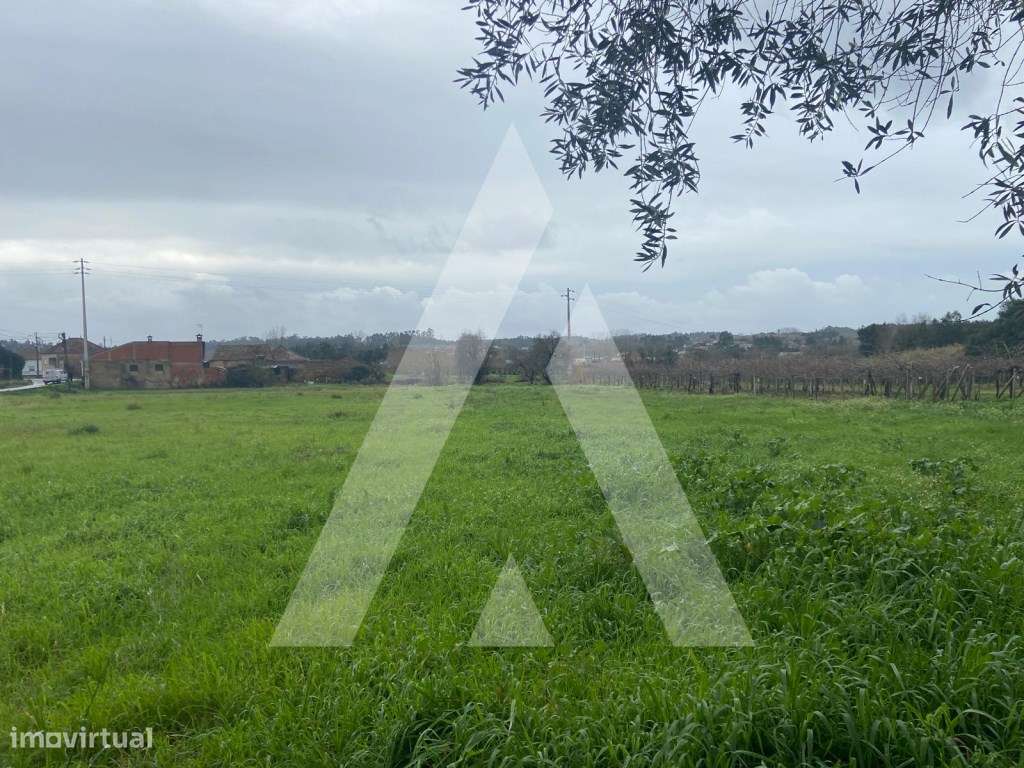 Terreno na Amoreira da Gândara em Anadia-7