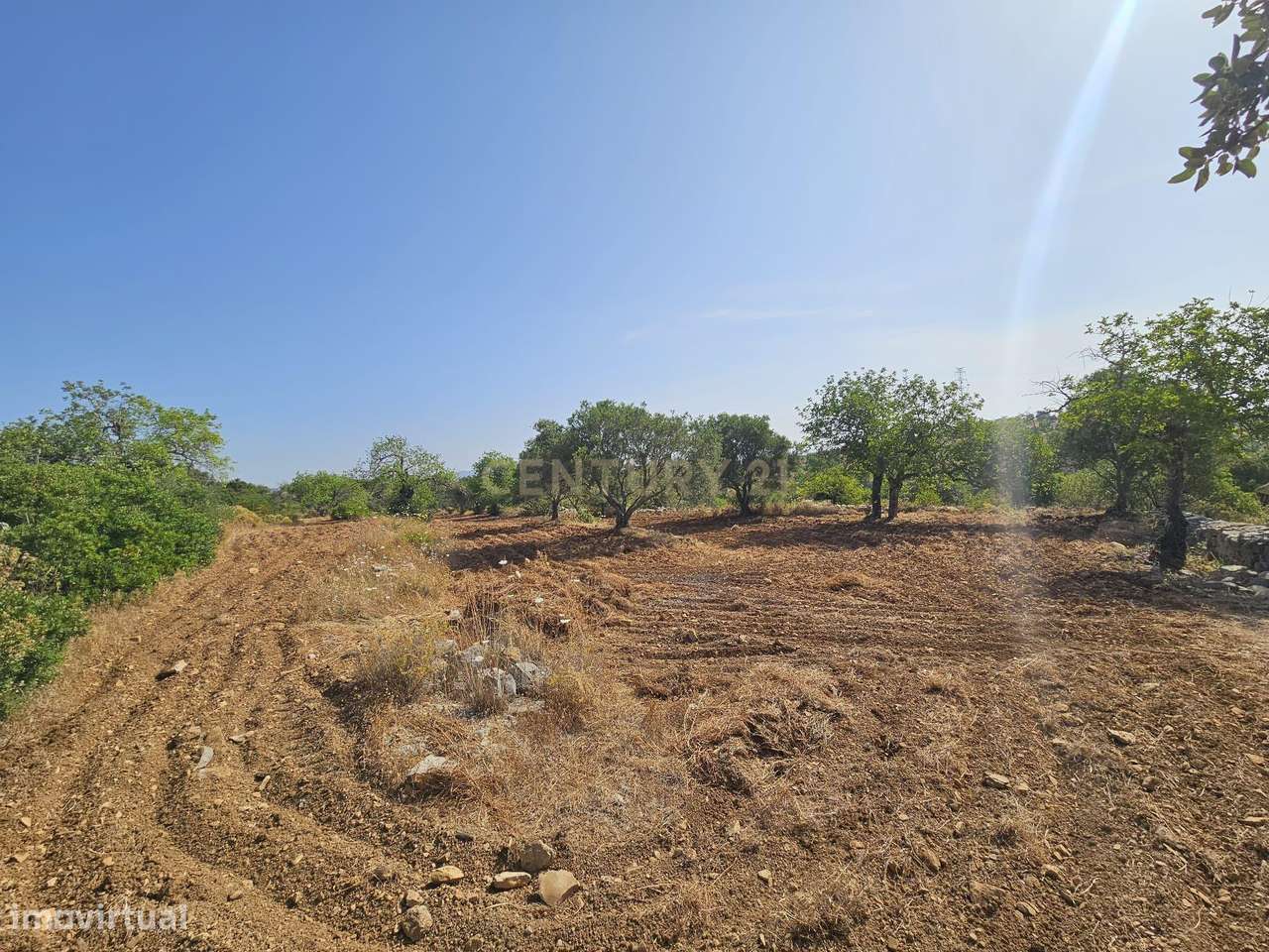 25.000€ Terreno Rústico com 2.280m² – Soalheira, Conceição e Estoi, Fa - Grande imagem: 2/6