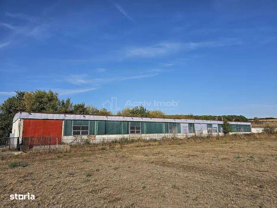 Hala industriala (1000 mp) si teren (4000 mp), Scornicesti, Trafo-1