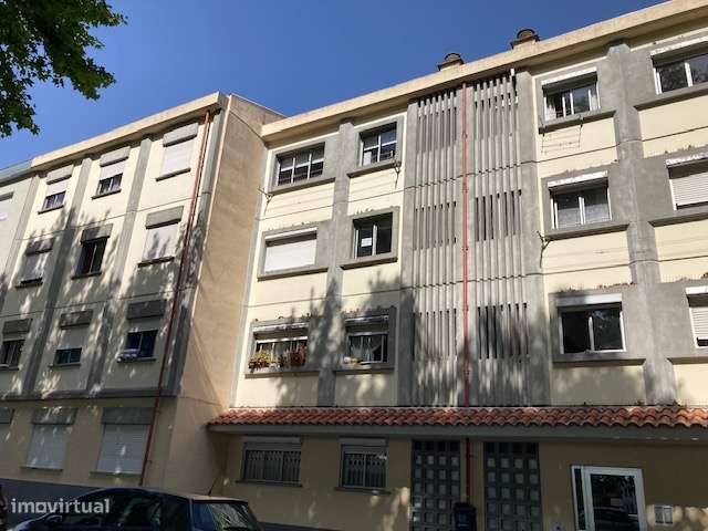 Universidade - T3 para investidores