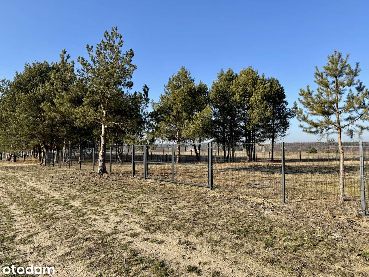 Działki budowlane przy jeziorze Białym-3