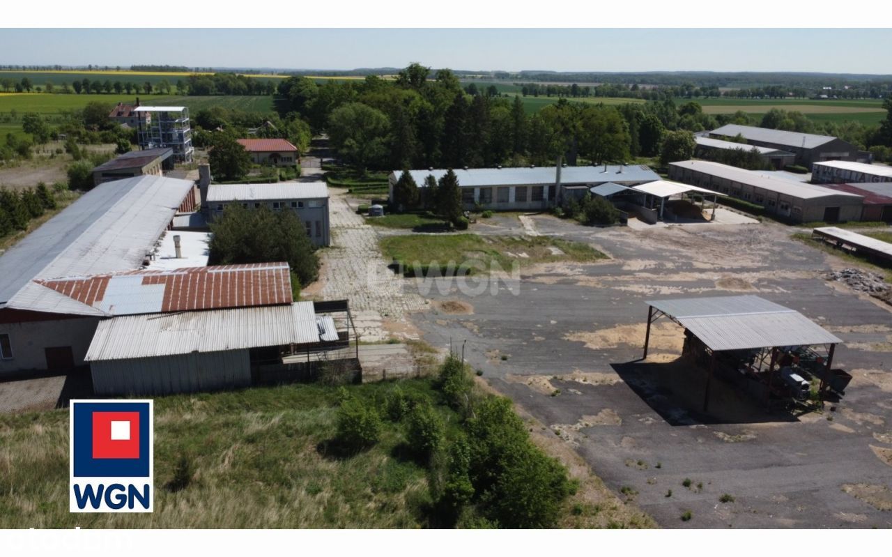 Lokal użytkowy, 9 600 m², Paruszowice