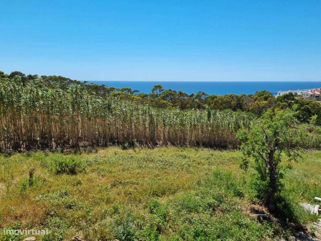 Terreno com vista mar - Grande imagem: 2/9