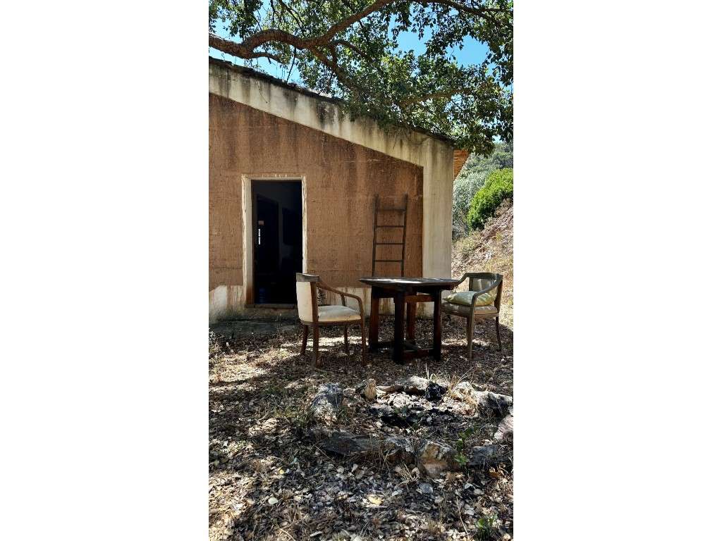 CASAS de CAMPO (3 Prédios)-34