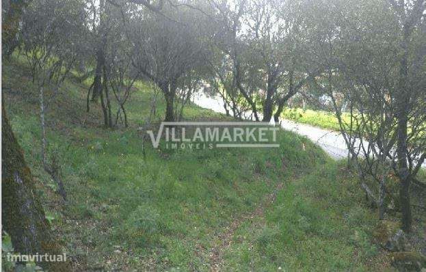 Terreno Urbano com 2450 m2 para a construção de 5 moradias situado per - Grande imagem: 5/12