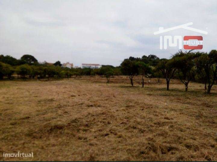Quinta com 35000 m2 - Seixal - Grande imagem: 4/10