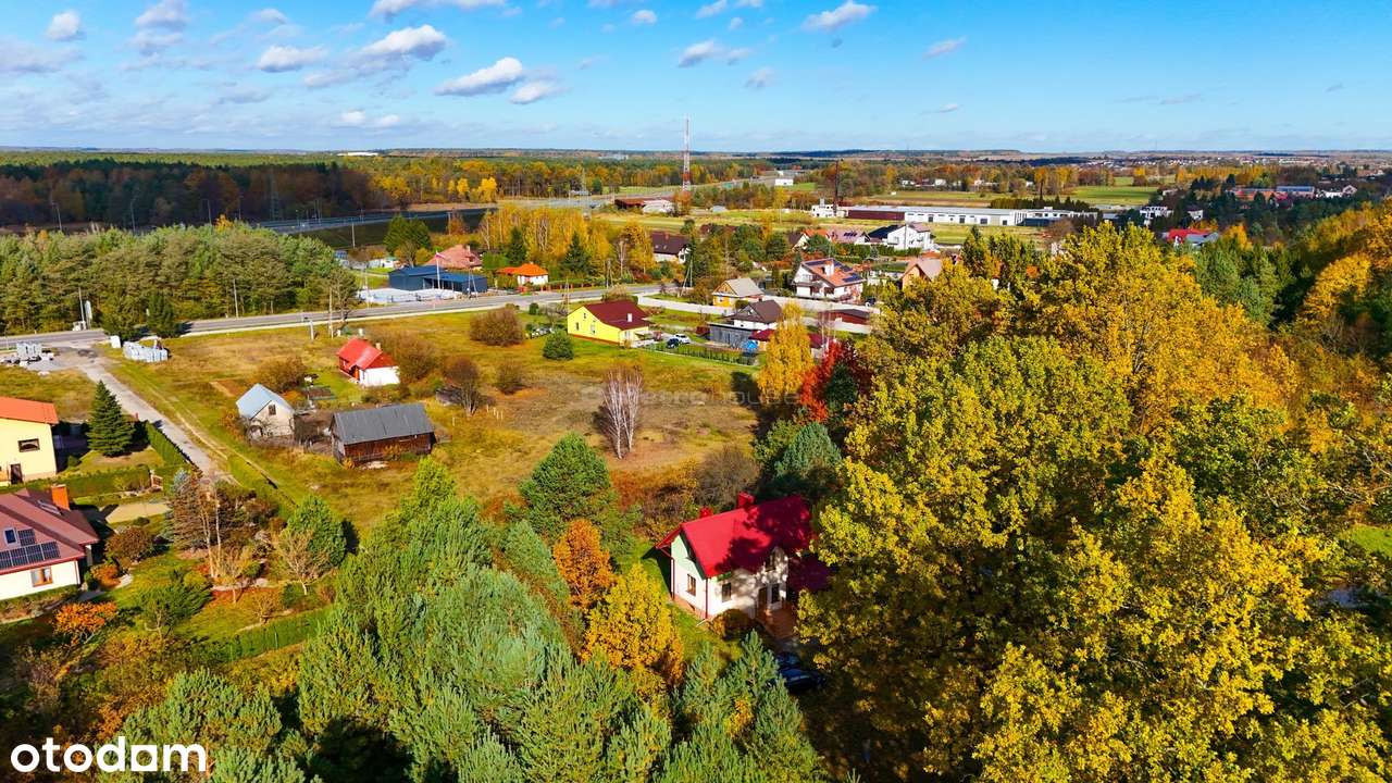 Działka 0,82 ha ze stawem i domem. - Pełny obrazek: 4/13